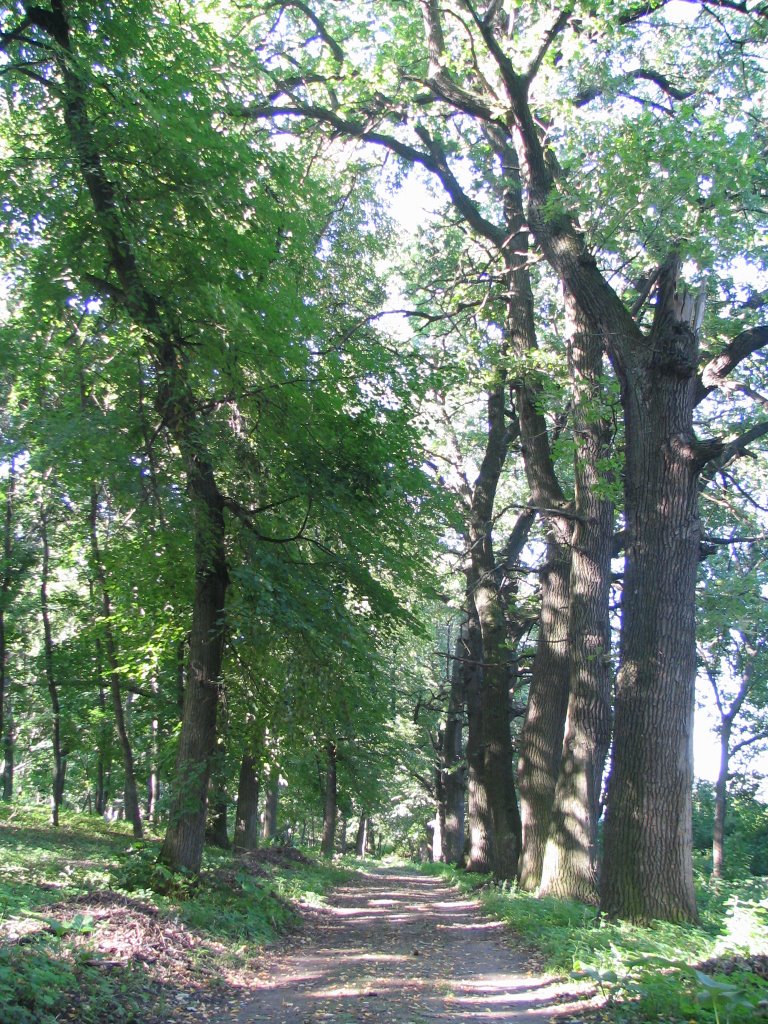 Kotovsk