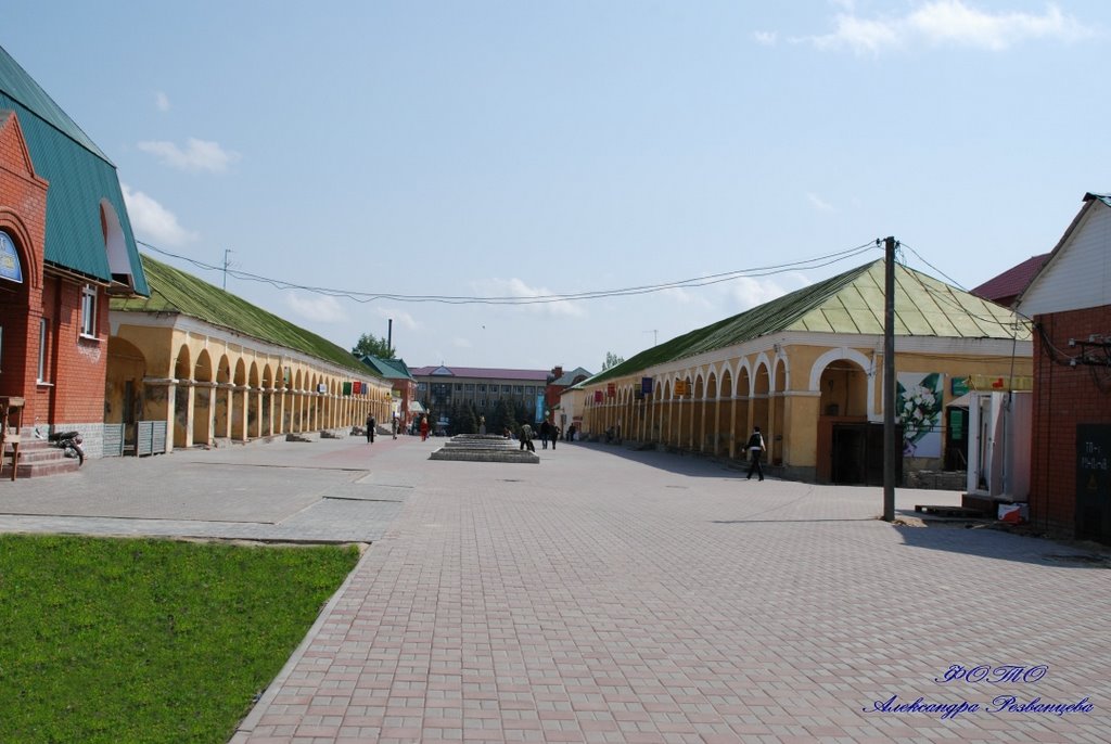 каменные ряды