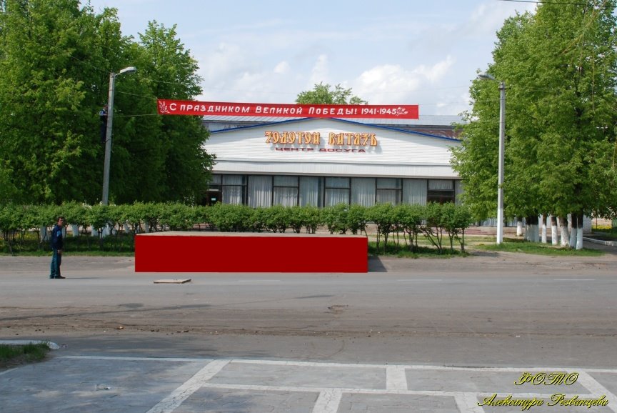Золотой Витязь