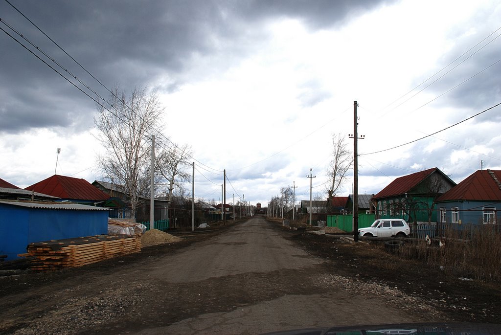 ул. Дорожная