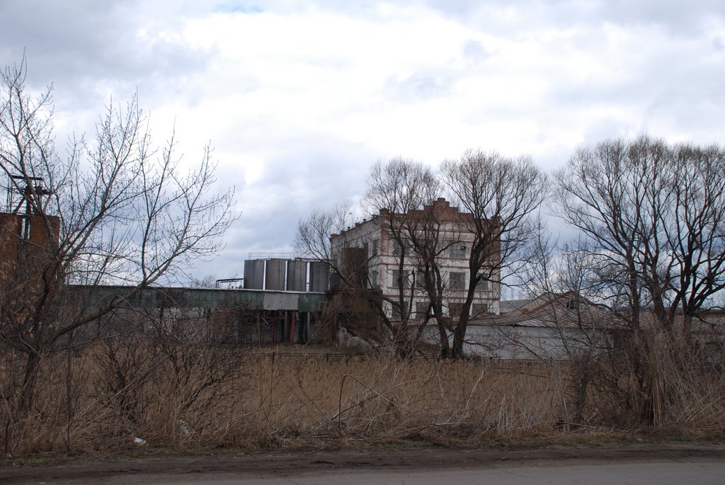 Мельница Крылова