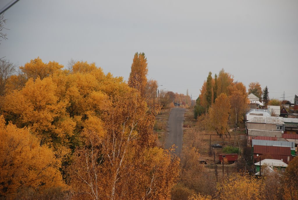 Дорога в МСО