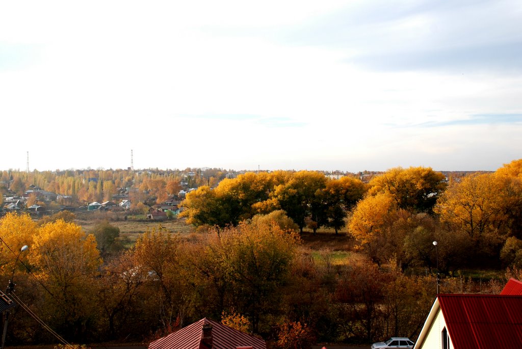 Золотой Кирсанов