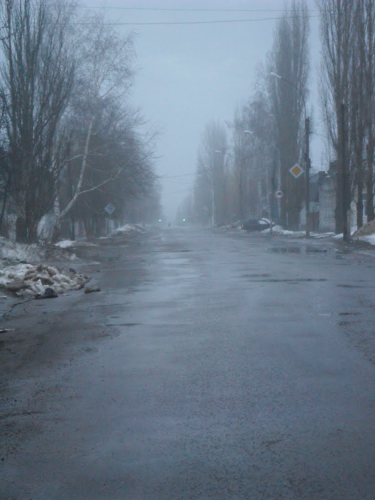 Туманная весна