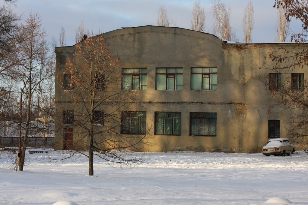 в парке