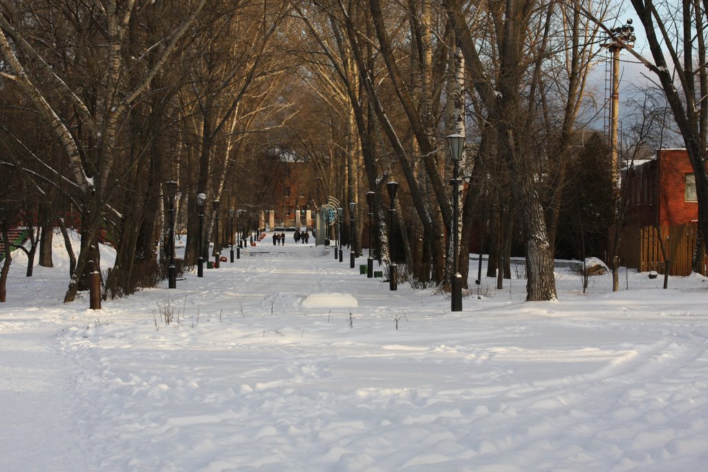 в парке