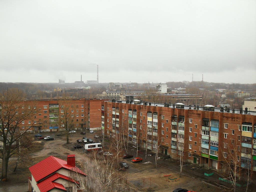 Жилка