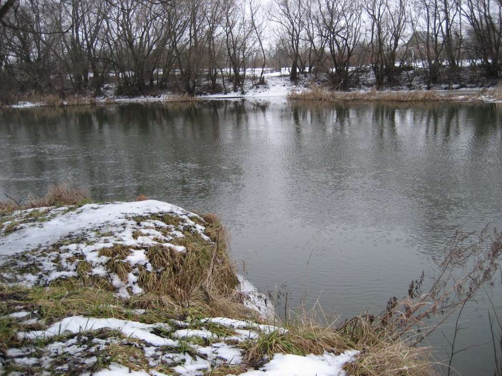 Река Цна