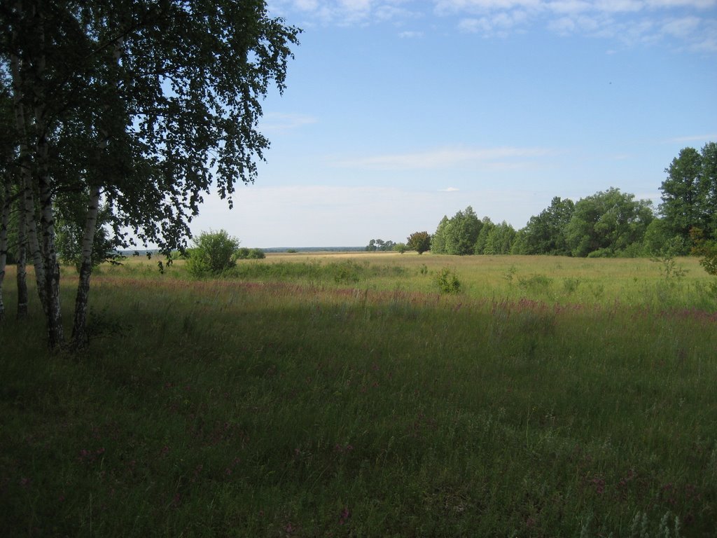 Поле