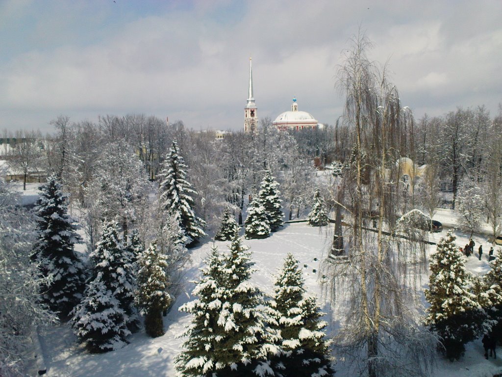 Зимний Мичуринск
