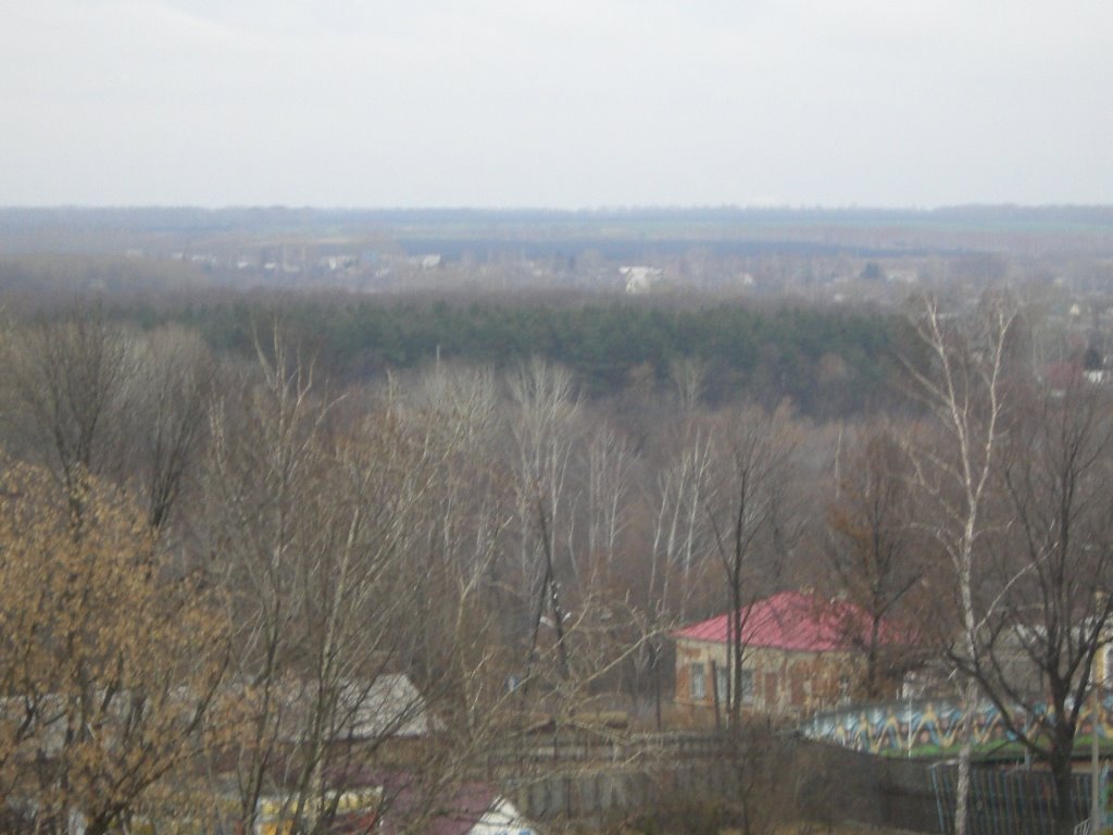 Панорама панских кустов