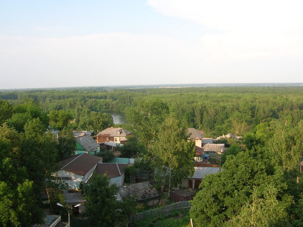 Lesnoy Voronezh (Ferris wheel)