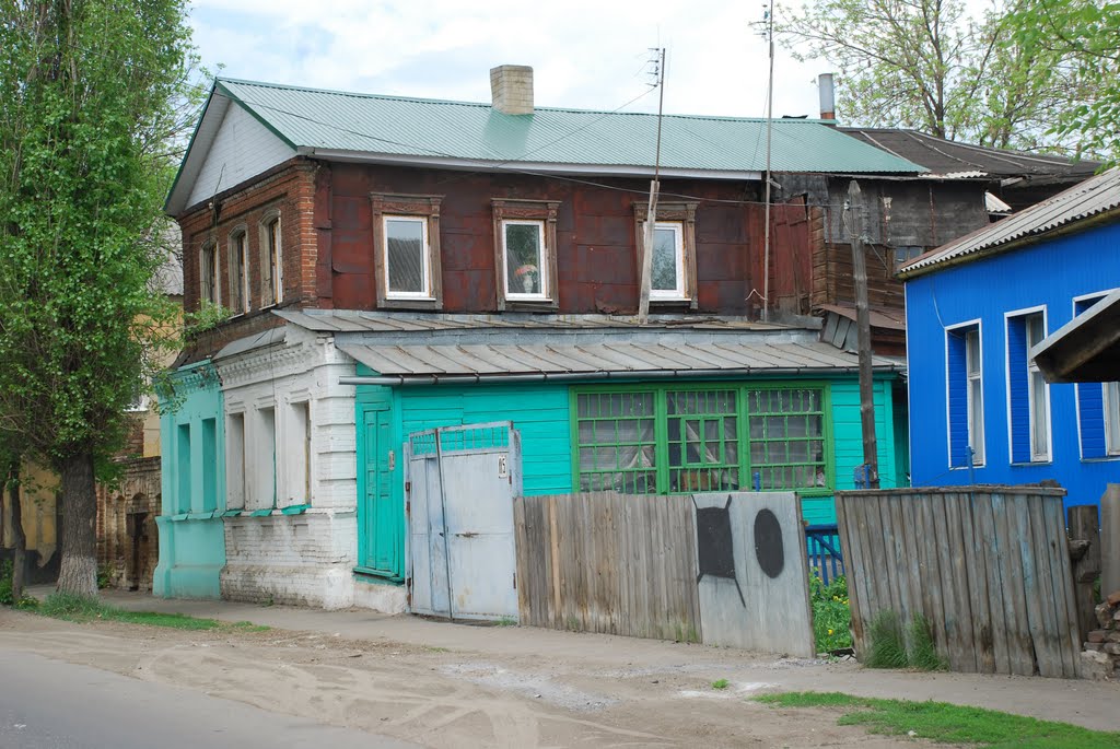 Козлов. Полихромия