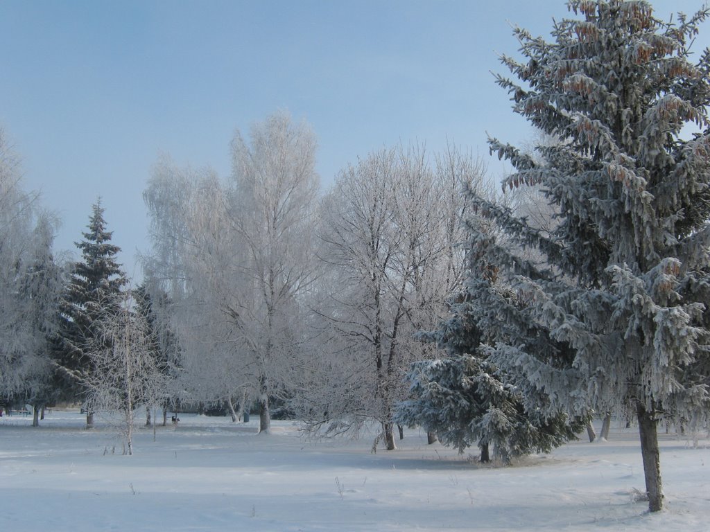 Petrovskiy