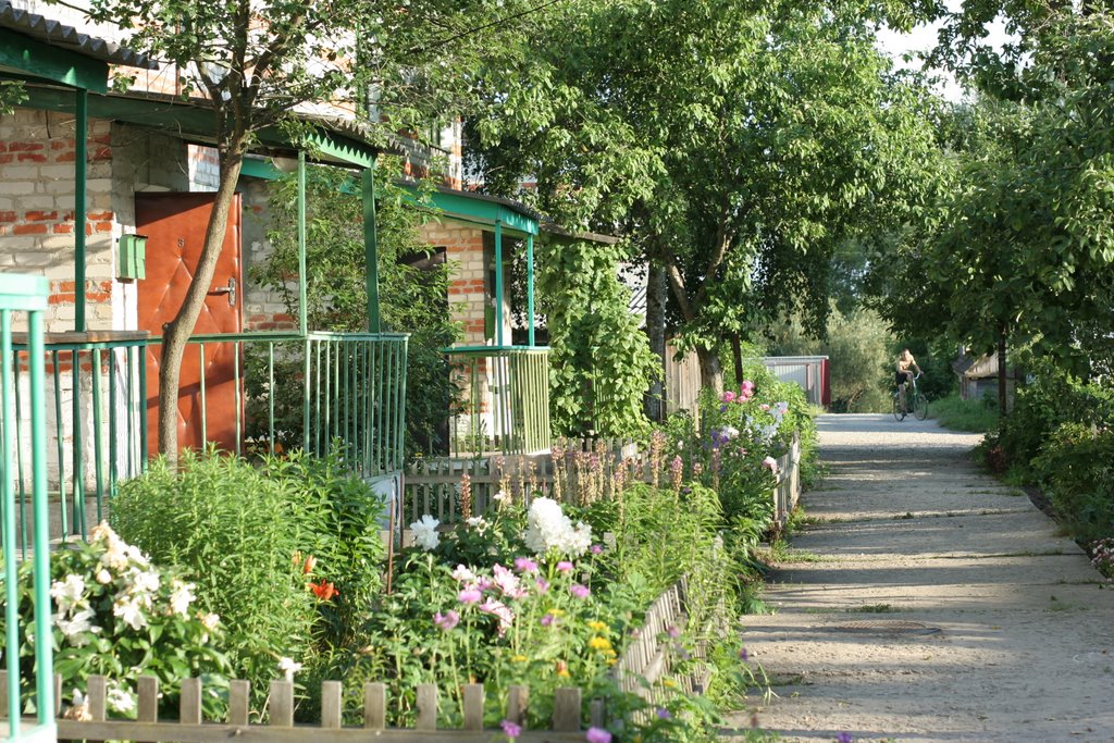 Flotskaya street