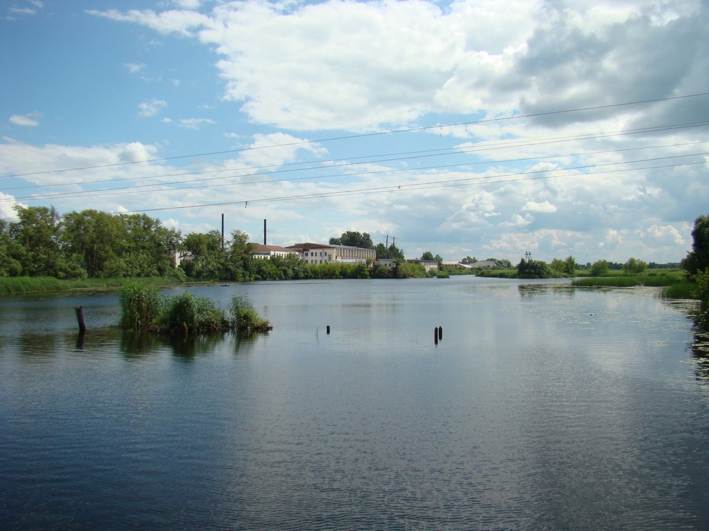 Река Цна в черте города