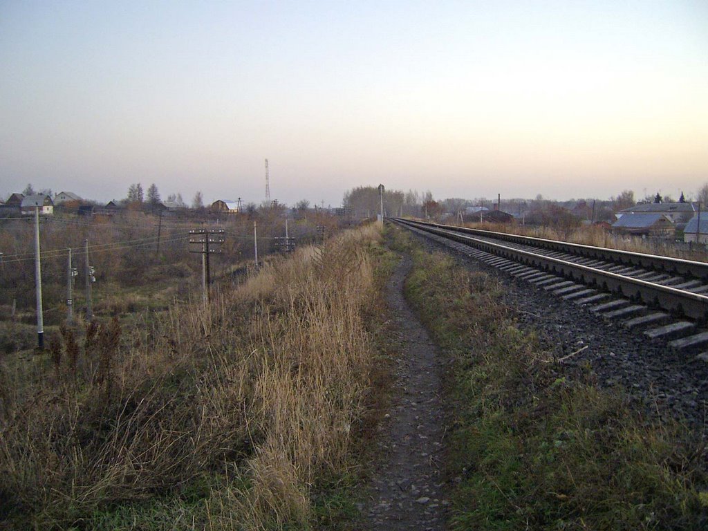 (2008)