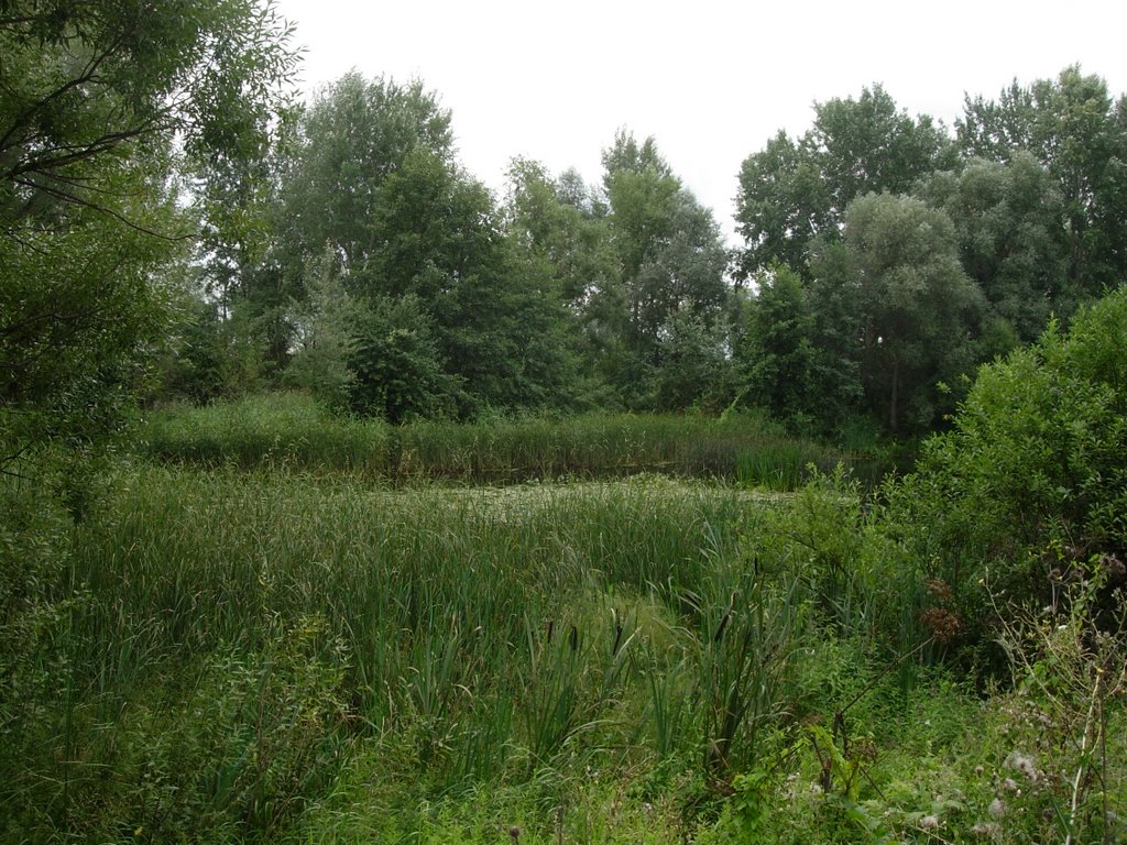 Chyort lake