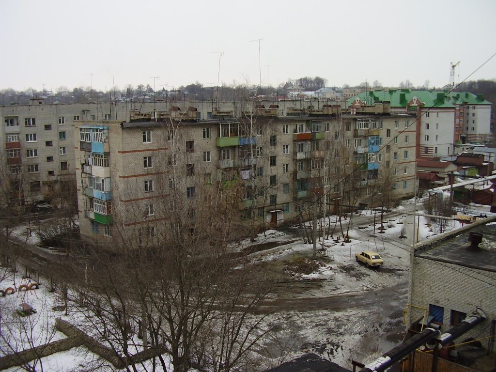 Вид с Пушкина 35 (№1)