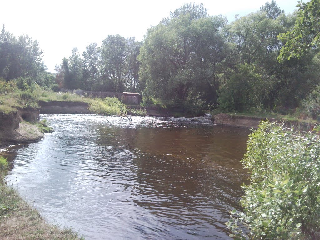 Ручей (7 Августа 2009 года)