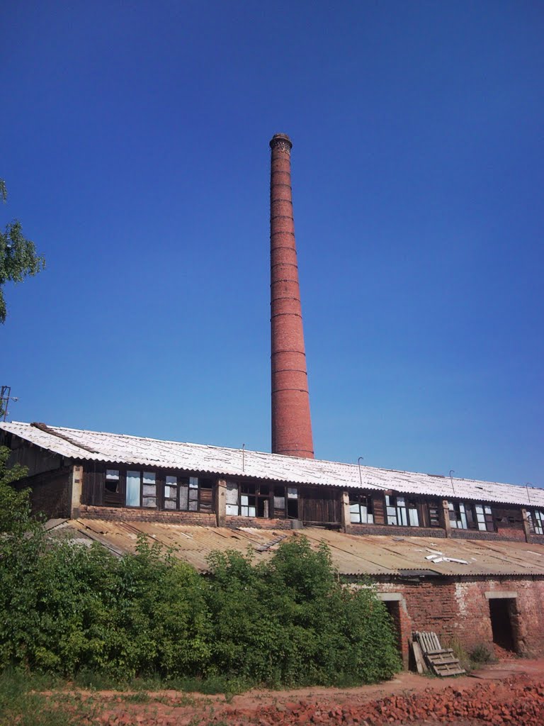 Кирпичный завод (23 Июня 2010 года)