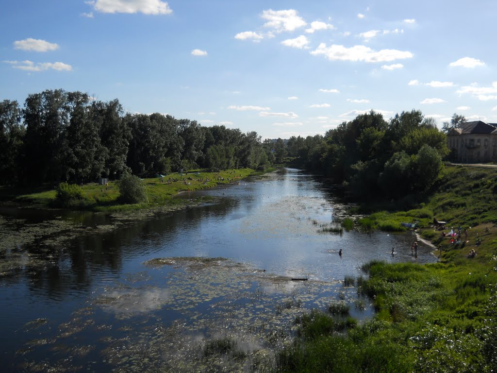 панорама с моста