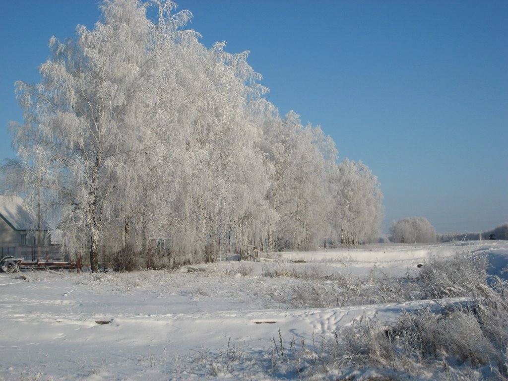 Зимняя дорога