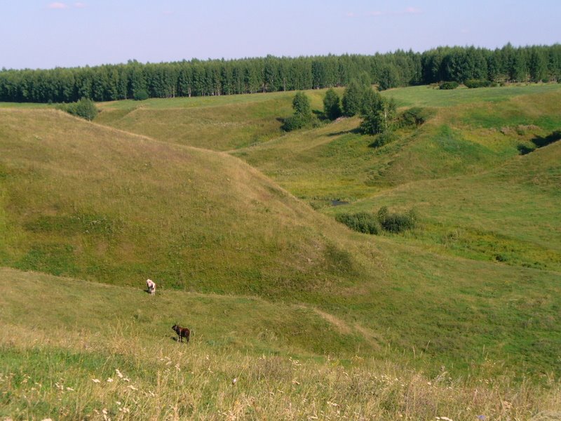 Пичаево