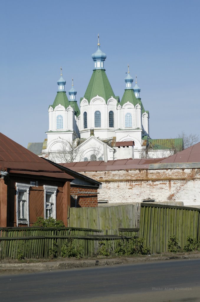 Свято-Троицкая церковь в селе Пичаево