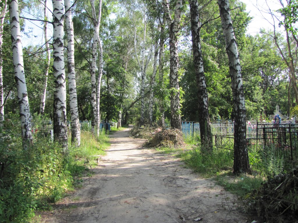 Рассказовское кладбище