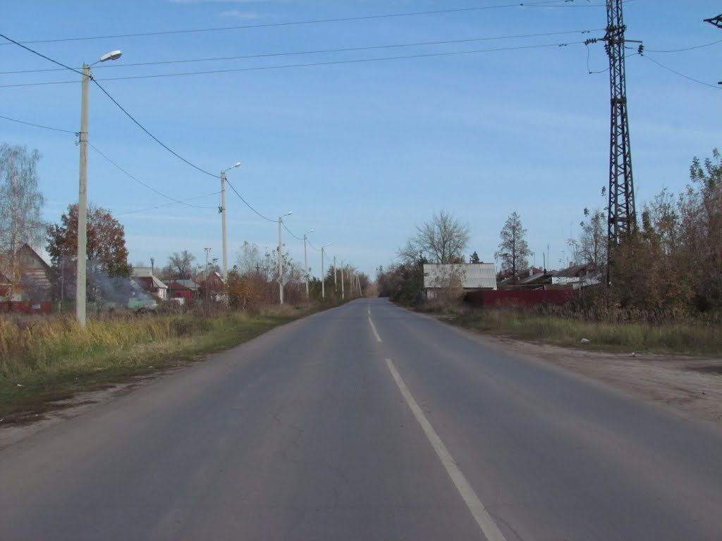 Crossing the road at the edge of town