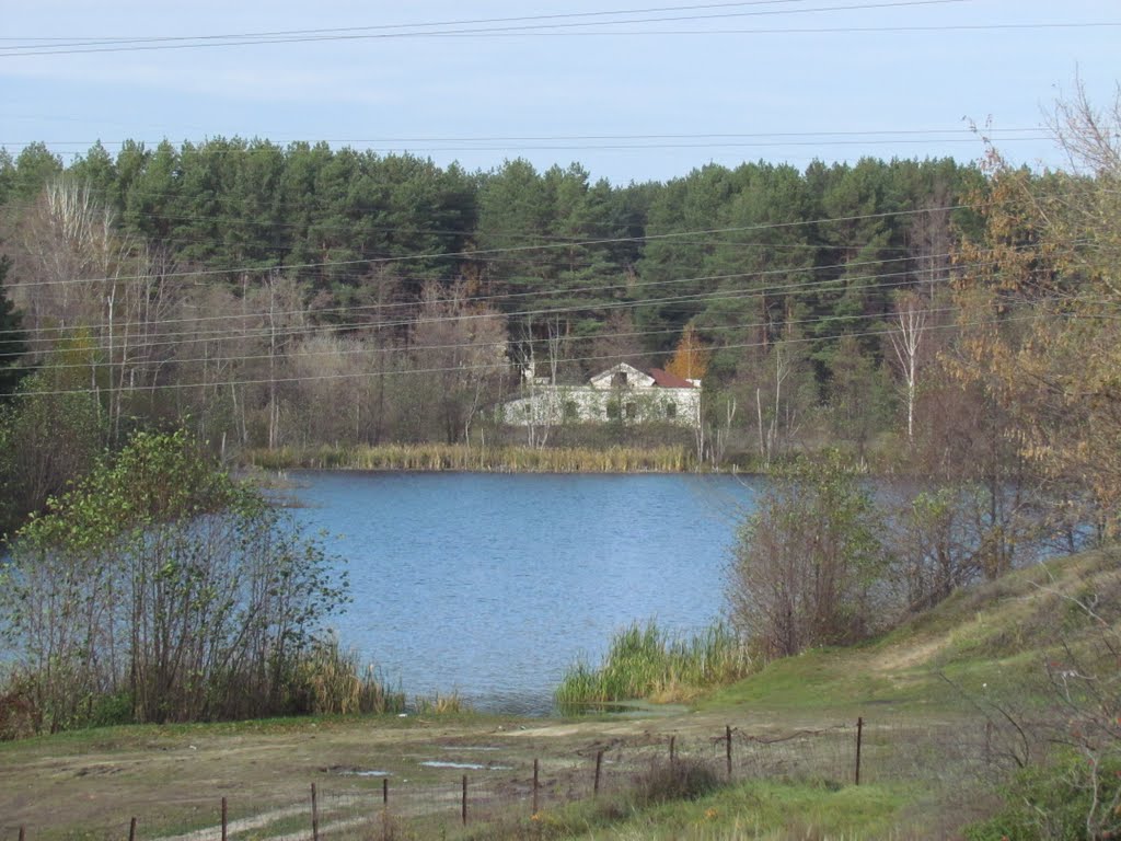 Pre-revolutionary house in the forest