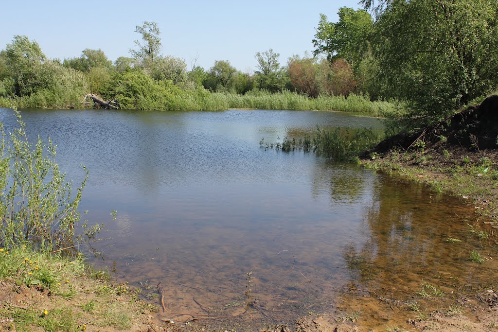 Кирпичный пруд