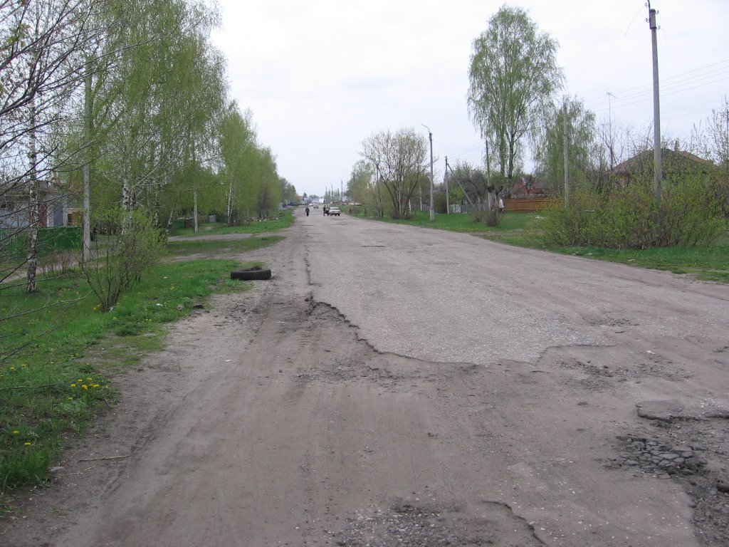 ул. Лесная - в южную сторону