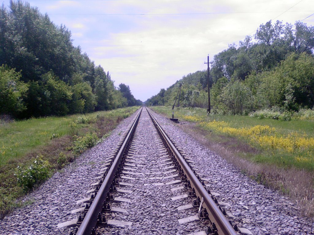 Железная дорога (фото 1)