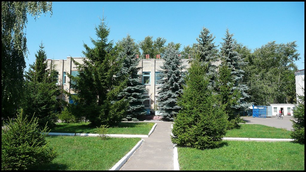 landscape