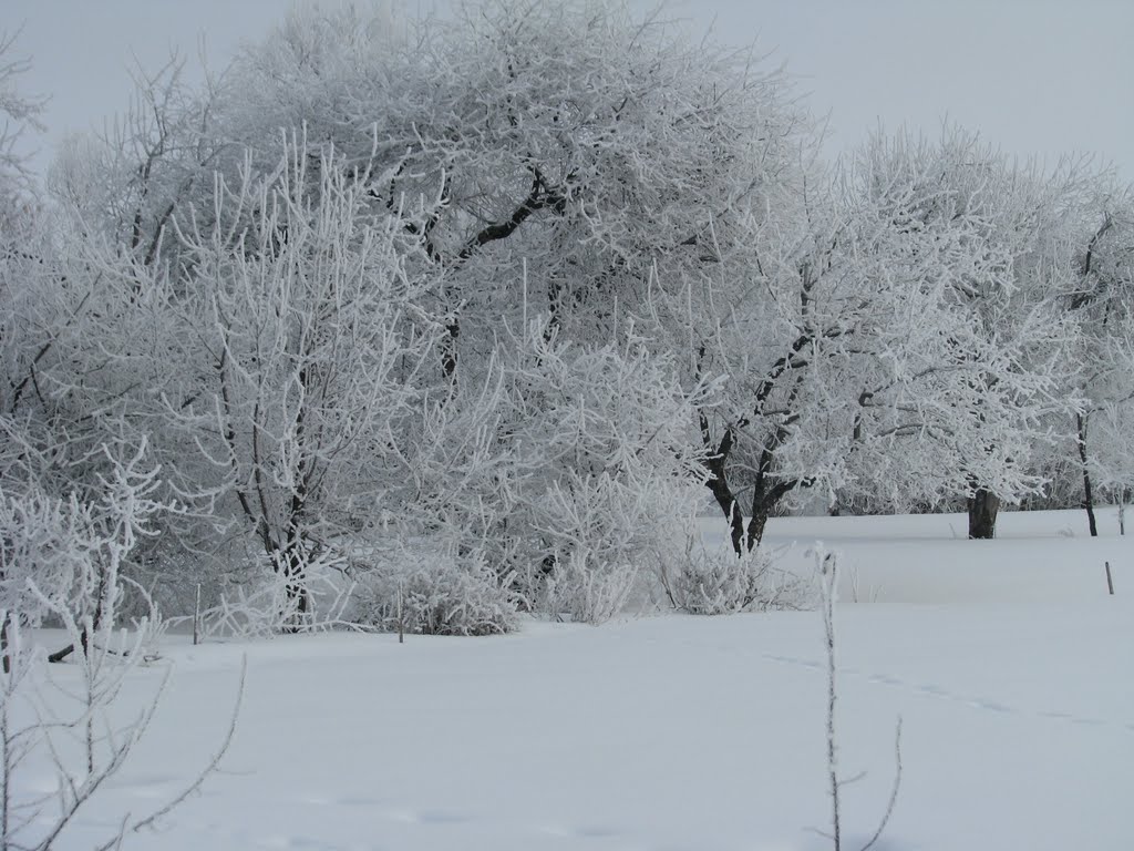 Природа с. Староюрьева