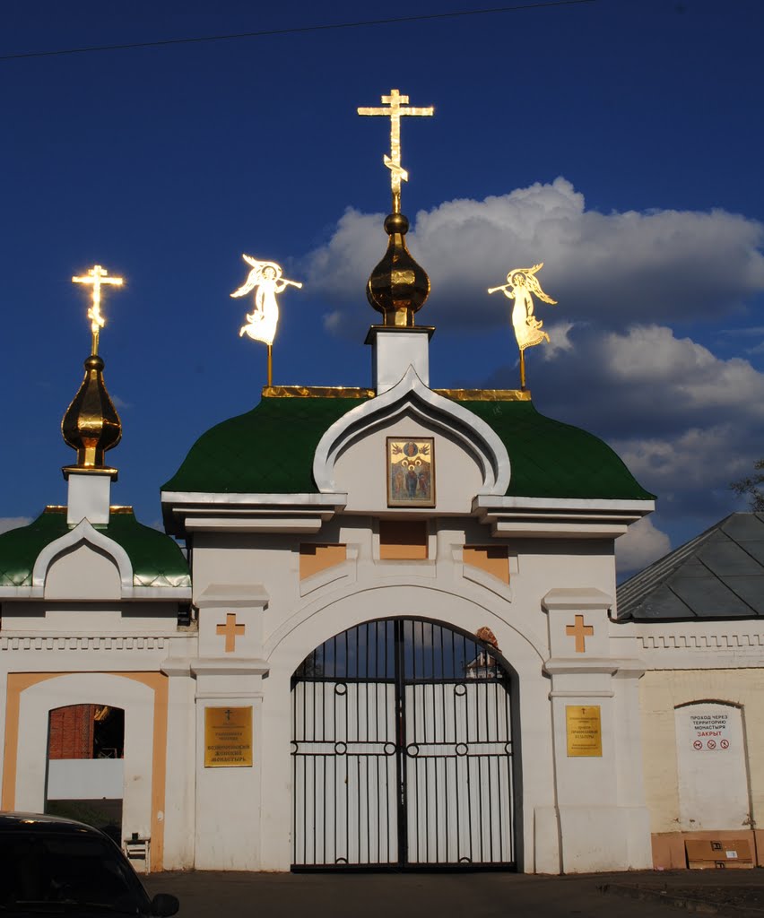 Вид на Вознесенский монастырь