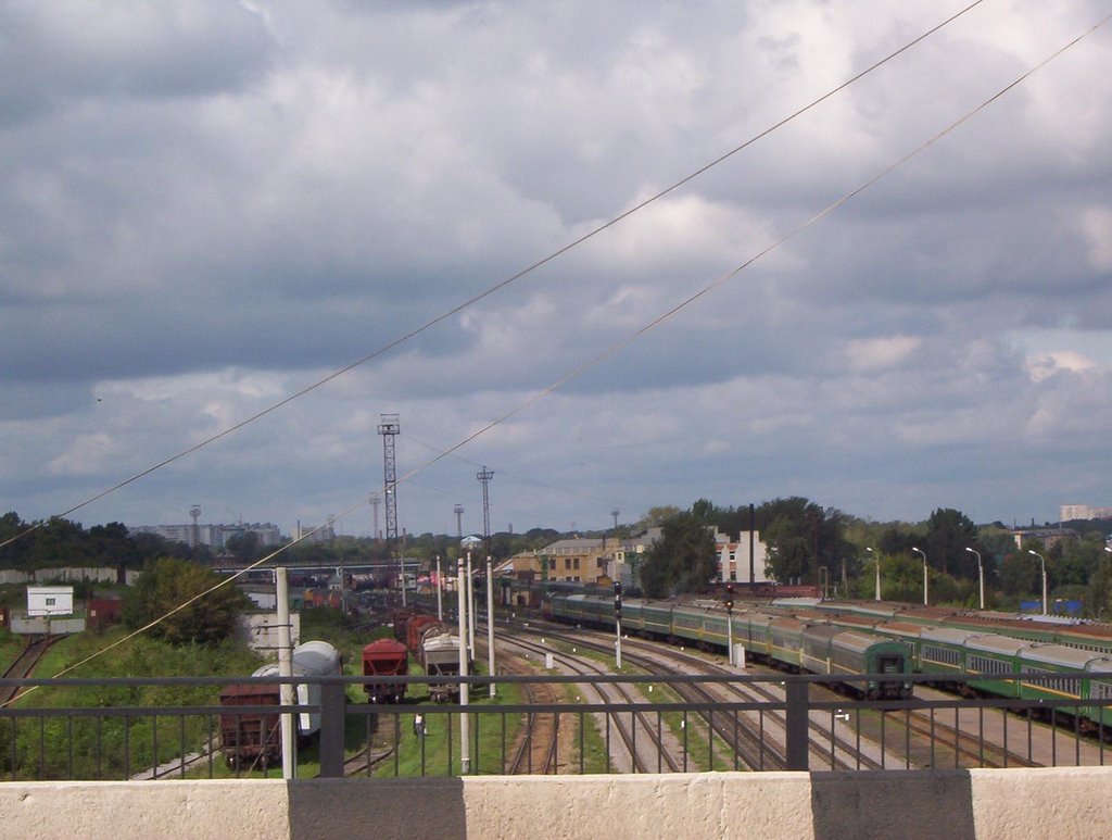 Вид на ж/д пути с Лермонтовского моста. 10-09-2006