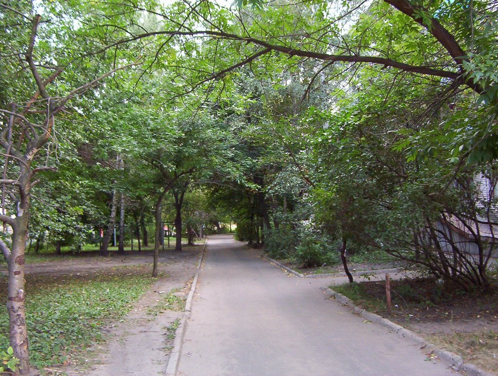 Типичный Тамбовский двор. 08-06-2005