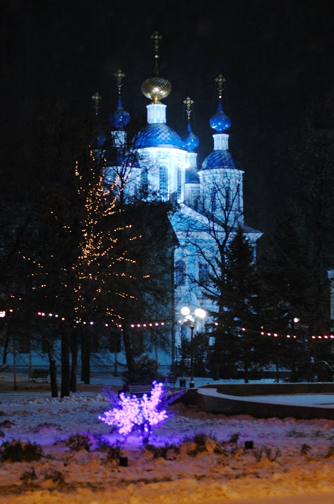 Ночной снегопад (Тамбов)