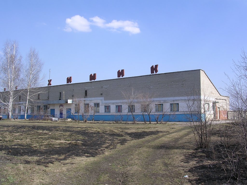 Стадион Химик