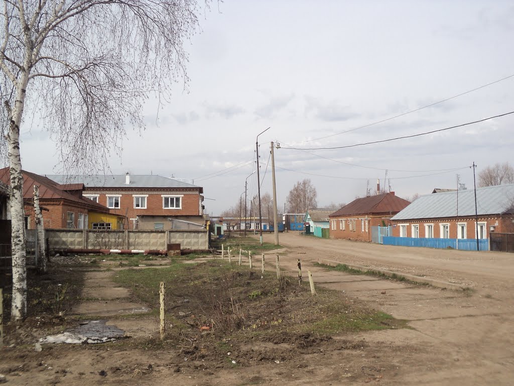 Вдали видны ворота кир.завода