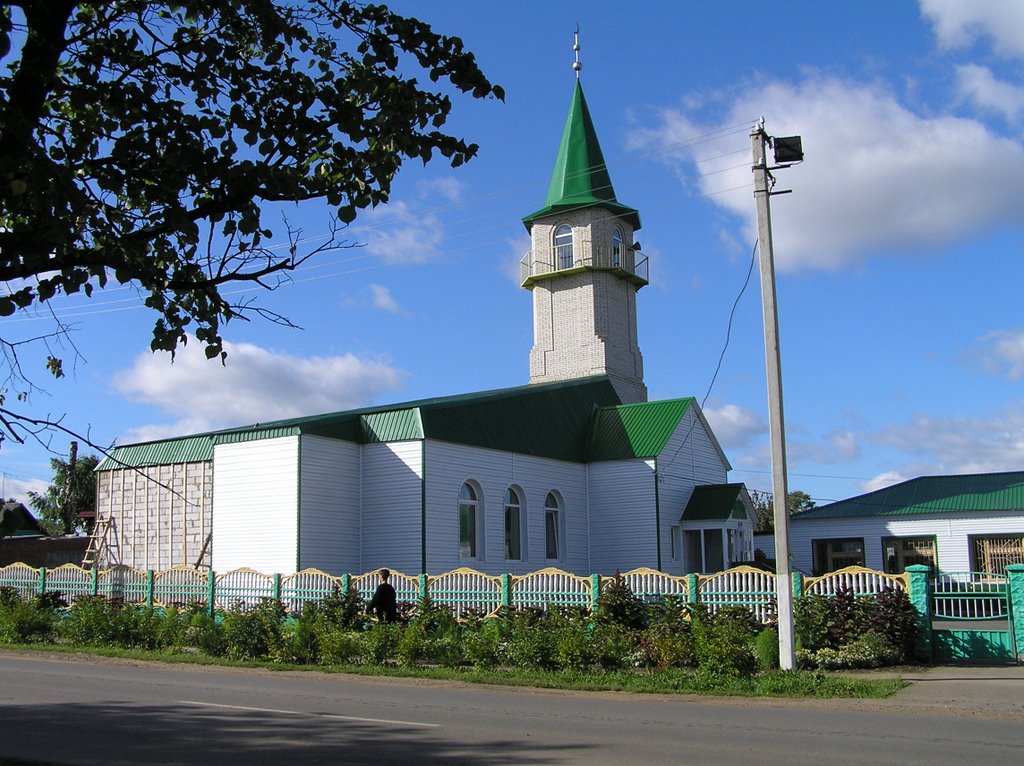 Мечеть, В Агрызе, востановлена.