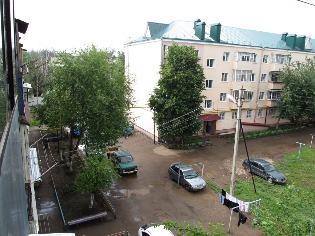Вид из окна