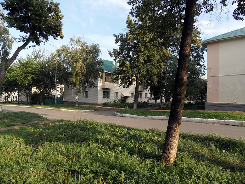 Улица Пушкина