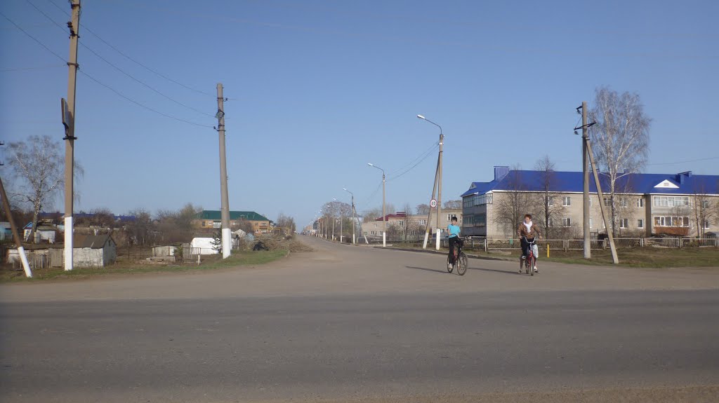 ул. Губкина