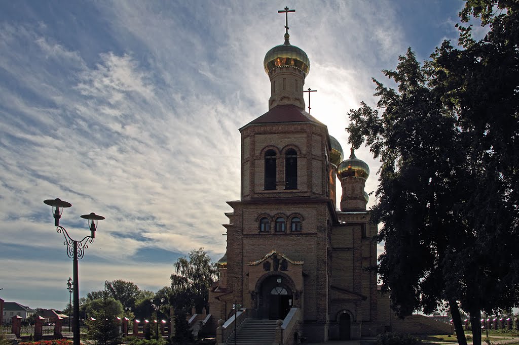 В утренних лучах