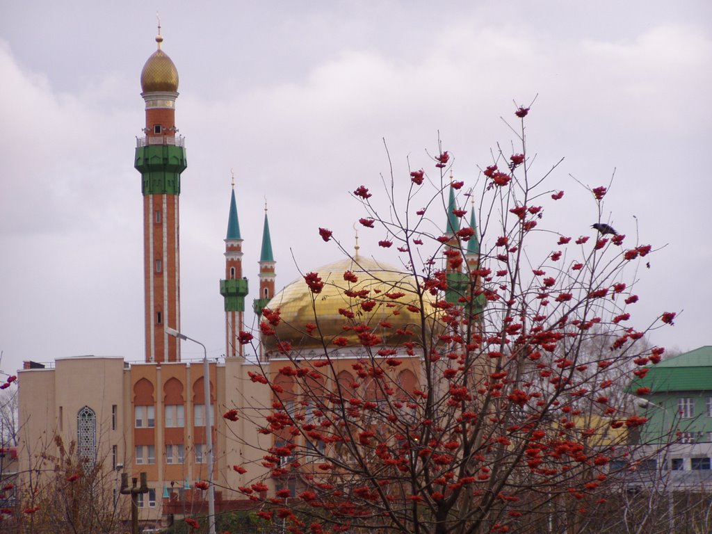 Рябина красная