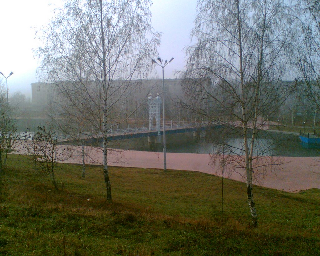 the bridge